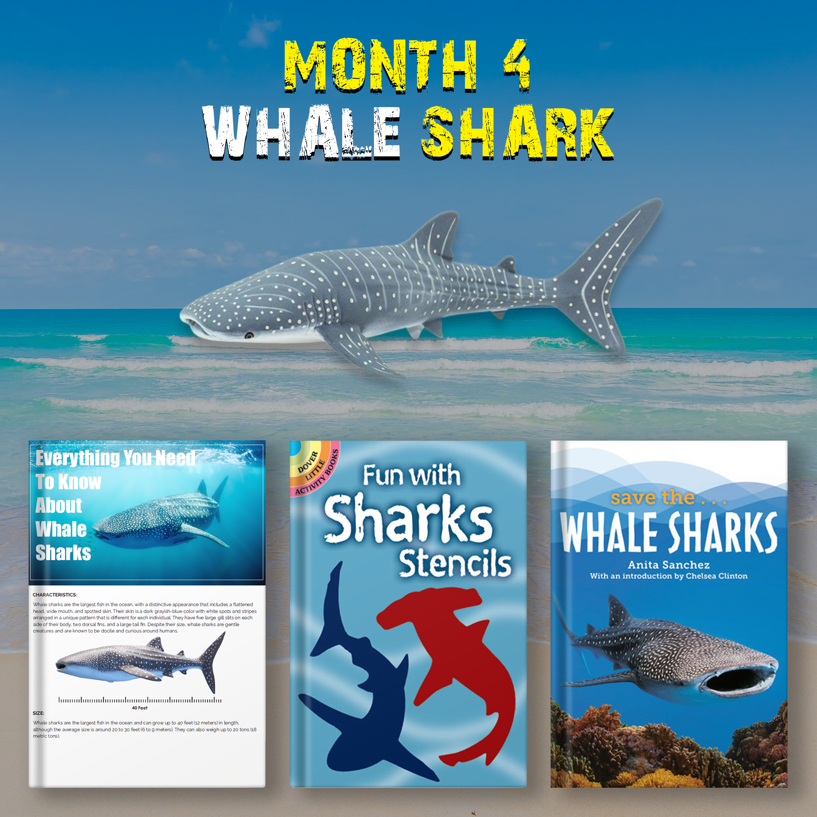 Month 4- Whale Shark – Shark of the Month Book Club